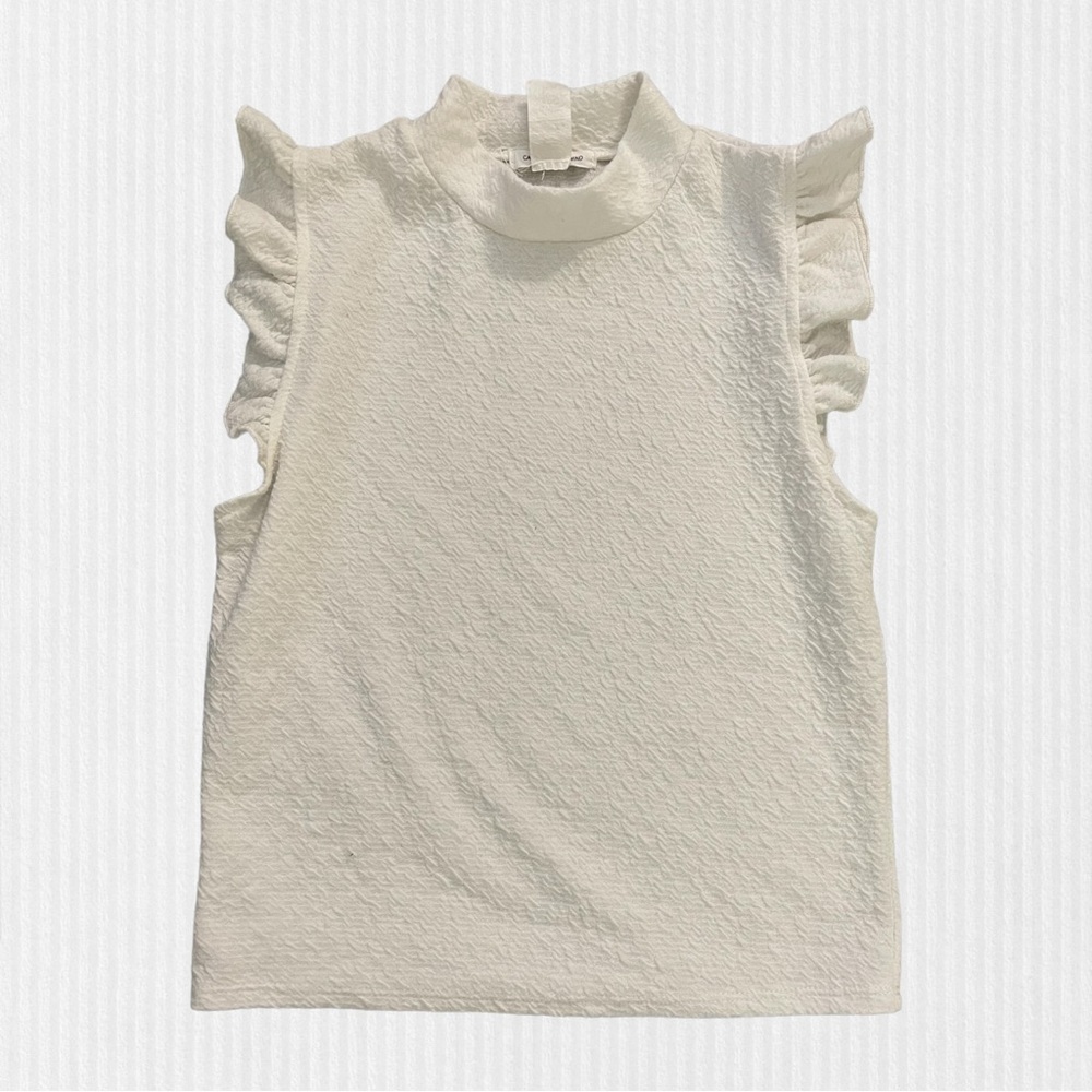 Caution to the Wind Mock Turtleneck Ruffle Sleeve Short Sleeve Top